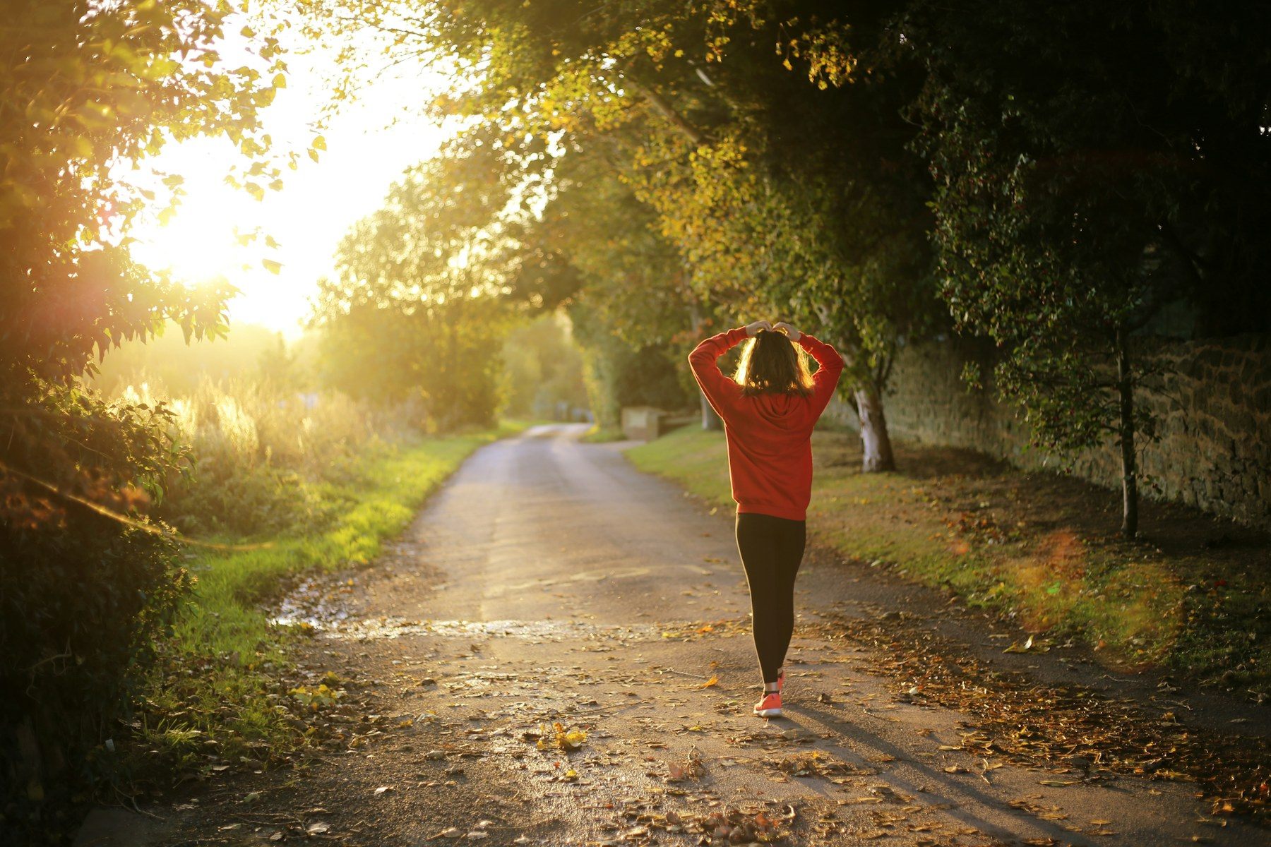 A runner on a quiet countryside path beneath trees in warm morning light.